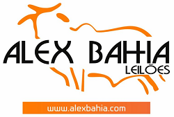 Alex Bahia Leilões